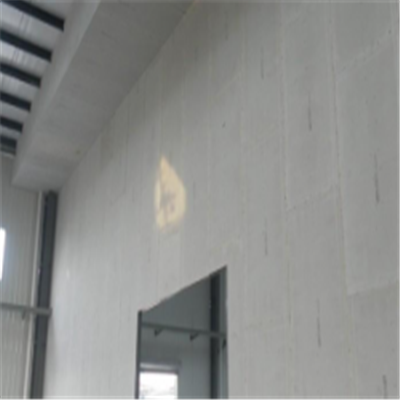 巴彦新型建筑材料掺多种工业废渣的ALC|ACC|FPS模块板材轻质隔墙板